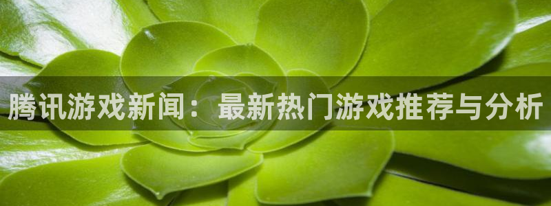 鼎点娱乐4主管：腾讯游戏新闻：最新热门游戏推荐与分析