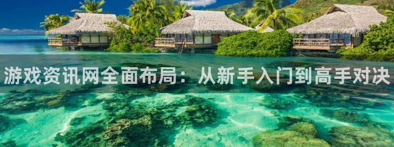 鼎点娱乐4招商：游戏资讯网全面布局：从新手入门到高手对决