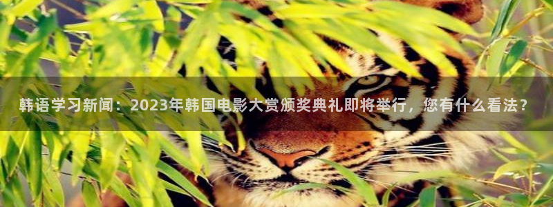 鼎点娱乐平台登录：韩语学习新闻：2023年韩国电影大赏颁奖典
