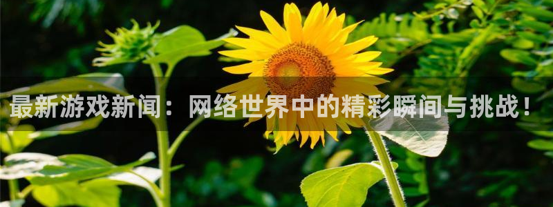 鼎点娱乐开户测速：最新游戏新闻：网络世界中的精彩瞬间与挑战！