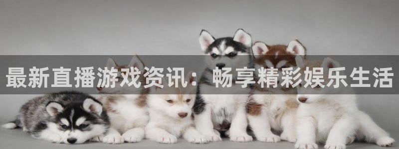 鼎点娱乐注册平台：最新直播游戏资讯：畅享精彩娱乐生活