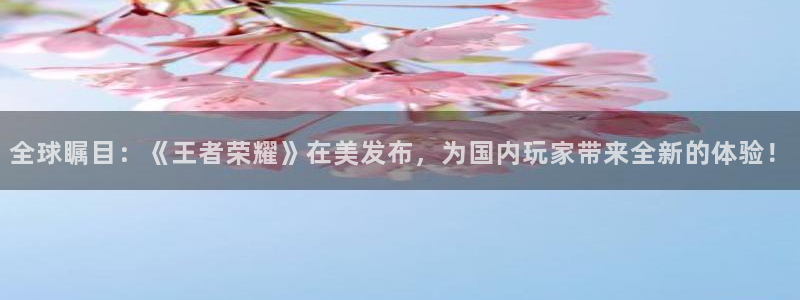 鼎点娱乐注册官方登录app：全球瞩目：《王者荣耀》在美发布，