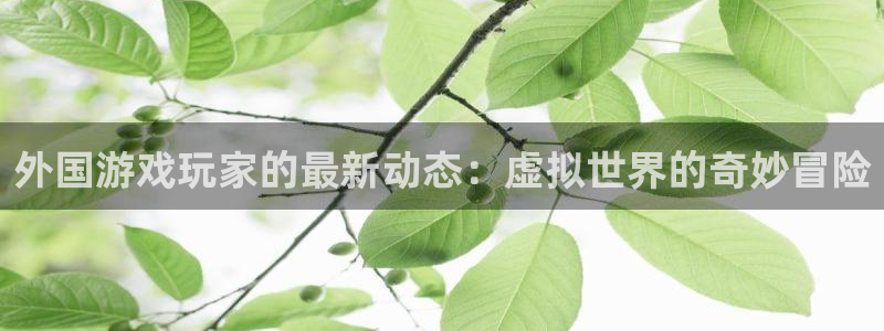 鼎点娱乐注册官方登录app：外国游戏玩家的最新动态：虚拟世界
