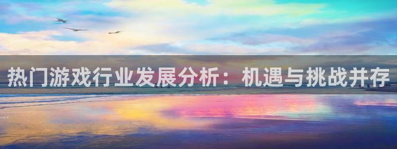 鼎点娱乐官方注册登录：热门游戏行业发展分析：机遇与挑战并存