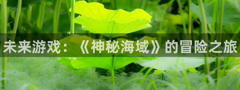 鼎点娱乐平台官网注册：未来游戏：《神秘海域》的冒险之旅