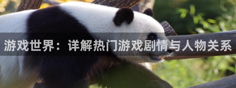 鼎点娱乐网页版地址：游戏世界：详解热门游戏剧情与人物关系