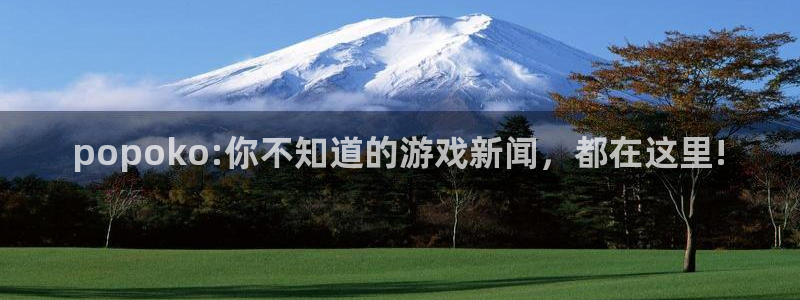 鼎点娱乐注册服务条款：popoko:你不知道的游戏新闻，都在