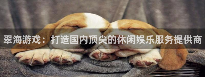 鼎点娱乐登录注册失败：翠海游戏：打造国内顶尖的休闲娱乐服务提