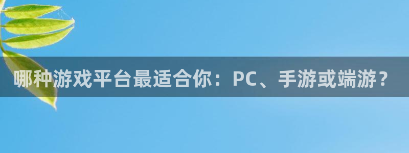鼎点娱乐步7O777：哪种游戏平台最适合你：PC、手游或端游